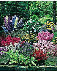 60 Cottage Garden plants