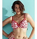 Eve Underwired Plunge Bra