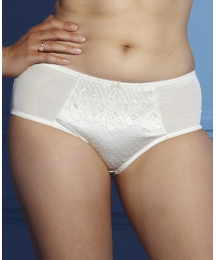 Splendour High Waist Brief