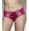 Splendour Satin and Mesh Knickers
