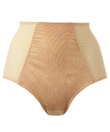 Arlene Phillips Control Briefs