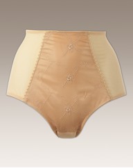 Arlene Phillips Control Briefs