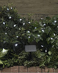 Star Light String 100 White LEDs