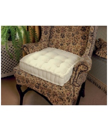 Booster Cushion