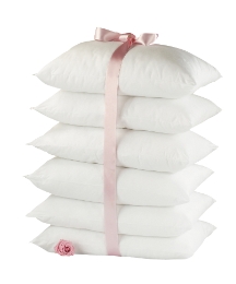 Spring Back Anti Allergy Pillows