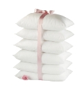 Spring Back Anti Allergy Pillows