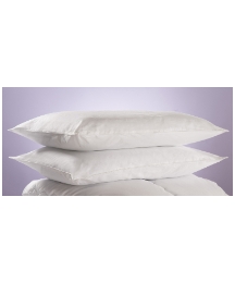 Egyptian Cotton Pair of Pillows