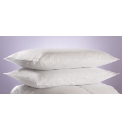 Egyptian Cotton Pair of Pillows