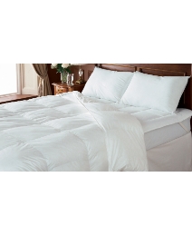 Hotel Collection 