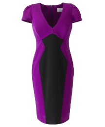 Laurens Collection Colour Block Dress