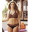 Curvy Kate Flirt Frill Bikini Brief