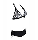 Zoggs Queen Cliff Bikini D+