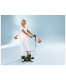 Twister Stepper