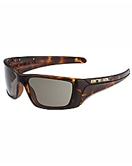 Animal Temper Sunglasses