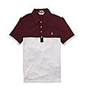 Penguin Colour Block Polo