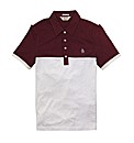 Penguin Colour Block Polo