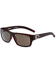 Cat Sunglasses