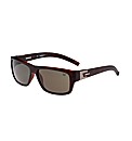 Cat Sunglasses