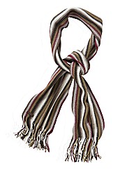 Weird Fish Brown Striped Scarf