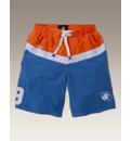 Santa Monica Mens Swimshorts