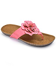 Simply Be Flower Toe Post E Fit