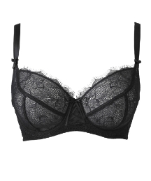Mimi Holliday Fondant Lace Maxi Bra