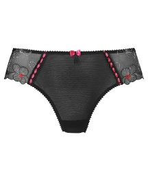 Delphine Brief