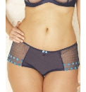Cosmos Brief