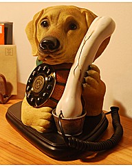 Labrador Dog Phone Golden