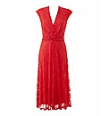 Petite Joanna Hope Lace Dress