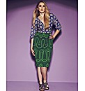 Anna Scholz Fitted Print Blocking Dress
