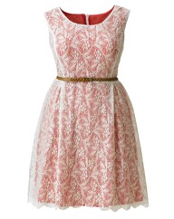 AX Paris Lace Belted Dress