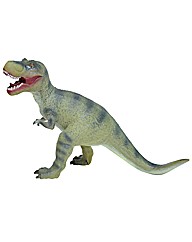 Tyrannosaurus Dinosaur