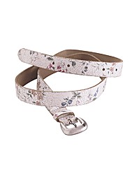 Joe Browns Summer Sensation Belt