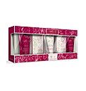 Grace Cole Wild Fig Luxury Collection