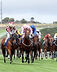 Horse Racing Day For Two