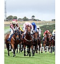Horse Racing Day For Two