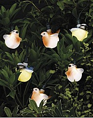 LED Bird Lights