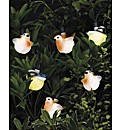 LED Bird Lights