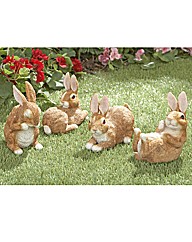 Country Bunnies Set of 4