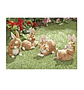 Country Bunnies Set of 4