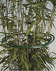 Bush Holder Rings Pack of 6