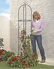 Garden Obelisk