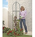 Garden Obelisk