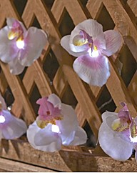 Solar Fairy Lights Orchid Design