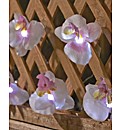 Solar Fairy Lights Orchid Design