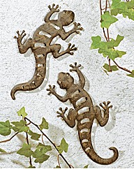 Pair of Garden Geckos