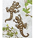 Pair of Garden Geckos
