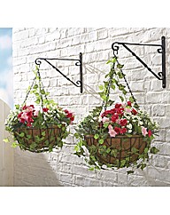 Ready Made Hanging Basket