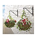 Ready Made Hanging Basket